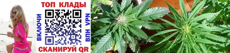 Где купить наркоту Ардон ГАШИШ  A PVP  Меф  Конопля  Cocaine 