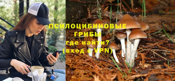 шишки Абаза