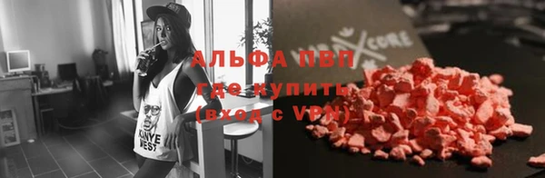 шишки Абаза